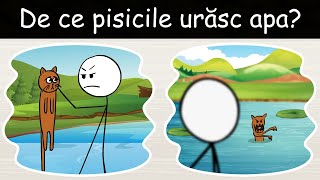 De Ce Pisicile Urăsc Apa  DLJ19 [upl. by Uella510]