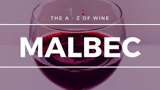 What is MALBEC  What you need to know about this popular grape [upl. by Carena]