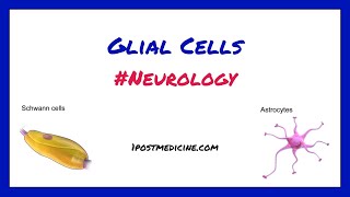 Glial Cells  Neurology [upl. by Birdie]