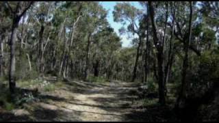 Lerderderg State Park  Blackwood Range Track Southern portion [upl. by Nam]