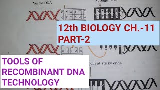 Class 12 biology chapter 11part 2tools of RDTStudy with Farru [upl. by Licha887]