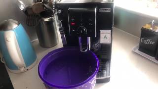 Descaling the Delonghi ECAM 23120B Coffee Machine [upl. by Nnairol]