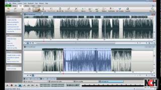 WavePad Audio Editing Software  Intro to Editing [upl. by Anilehcim]