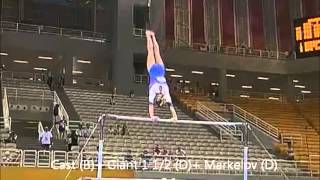 Svetlana Khorkina 2004 Uneven Bars DScore 20132016 CoP [upl. by Curzon]