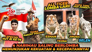 4 HARIMAU IKUT LOMBA SPECIAL 17 AGUSTUS  MERDEKA [upl. by Joyann]