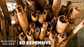 Why Ceylon Cinnamon Is So Expensive  So Expensive [upl. by Otsuaf]