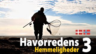 Havørredens Hemmeligheder 3  spinforår [upl. by Ferrell640]