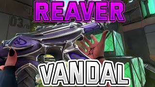 reaver vandal gameplayvalorant [upl. by Deerc]