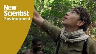 Simon Reeve meets Baku huntergatherers in Congo basin jungle [upl. by Botsford636]