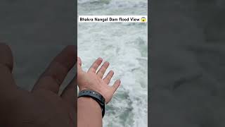 Dam flood view bhakradam nangaldam shorts viralvideo ytshorts trending youtubeshorts india [upl. by Luanni]