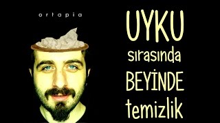 Uyku Sırasında Beyinde Temizlik [upl. by Enailil]