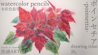 【watercolor pencils】poinsettia・ω・ポインセチア【水彩色鉛筆】 [upl. by Airehs]