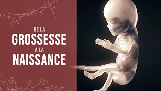 De la grossesse à la naissance dun miracle [upl. by Nelsen]