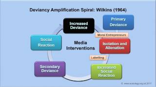 Deviancy Amplification Spiral [upl. by Alaik301]