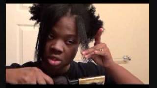 Flat Iron vs Hot Comb on Natural Hair Watch the Comparison [upl. by Rooke]