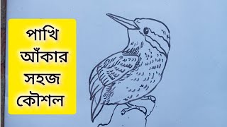 Beautiful Birds DrawingHow to Draw Kingfisher kingfisher bird Drawing [upl. by Iveson]