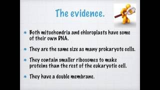 Endosymbiont Theory [upl. by Peony]