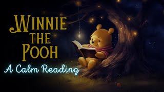 🧸 Reading of WinniethePooh  Full Audiobook for Sleep 😴 [upl. by Rettig68]