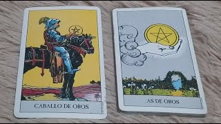 Caballo de oros combinaciones con todos los arcanos menores del tarot oros copas bastos espadas [upl. by Ardnahs]