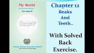 Class 4thEVSPSEBChapter 12Beaks And Teeth [upl. by Nayve]