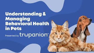 Understanding amp Managing Behavioral Health in Pets  Vet Advice Webinar [upl. by Raynell]