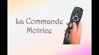 NeuroFacile 4  La Commande Motrice [upl. by Suhpoelc771]