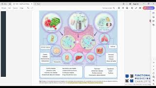 Akkermansia muciniphila  a key probiotic in the prevention of chronic disease [upl. by Simeon]