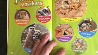 National Geographic Kids Meerkats [upl. by Jemmy]