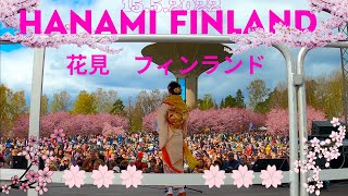 花見 フィンランド HANAMI ROIHUVUORI FINLAND [upl. by Sherrie]