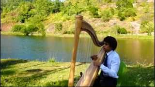 A Thousand Years  Harp  Wedding Songs for Bride Entrance [upl. by Enra]