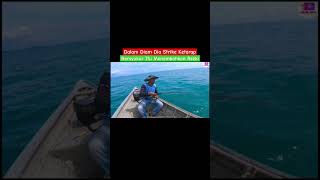 Dalam Diam Strike orangsedili fishing mancinglaut merawai parrotfish shorts viral bayan [upl. by Esinej]