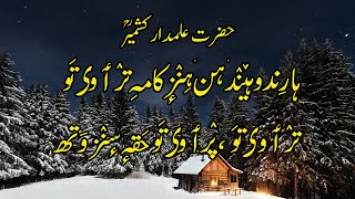 Sheikh NoorudDin Wali  Heart Touching  Shruk 11  Kalam e Nund Rishi Poet  Kashmiri  Urdu [upl. by Nnairb]