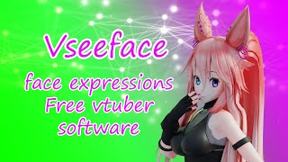 Vseeface Tutorial face tracking eye tracking Free vtuber program [upl. by Amahcen]