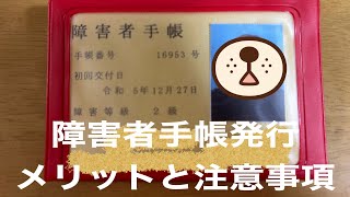 『障害者手帳』手帳が発行されたので、障害者控除のメリットと注意点についてお話しました 40代 難病 膠原病 障害者手帳 [upl. by Dalia]