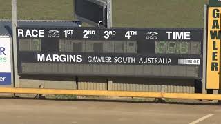 Gawler07082024Race7 [upl. by Kissee]