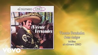 Vicente Fernández  Como Amigos Cover Audio [upl. by Eseela]