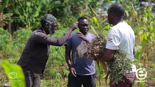 Dolopiko amp Son farmers association [upl. by Neenej]