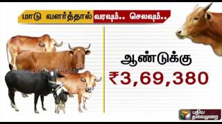 Is growing a cow profitable  What do numbers say [upl. by Ras]