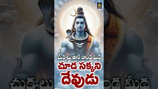 Powerfull Srisailam Mallanna Songs  lord siva songs l lord shiva super hit songs l Sri Durga Audio [upl. by Ayeka]