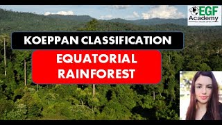 Equatorial Rainforest Climate l Koeppens Climate Classification l Equatorial Rainforest Biome [upl. by Lifton]