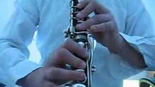 Klazmer Hasidick Jewish MusicClarinet [upl. by Onirefez404]