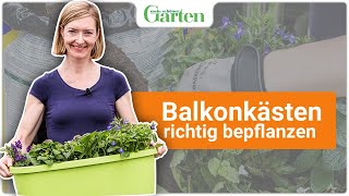 Balkonkästen bepflanzen Anleitung Tipps amp Tricks [upl. by Ijar]