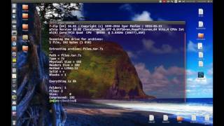 Extract a tar7z file Linux Terminal [upl. by Yarod]