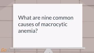 What are the causes of macrocytic anemia [upl. by Mungam]