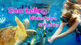 Boat Ride amp Snorkeling in Hikkaduwa Sri Lanka  Sea Turtles [upl. by Koslo315]