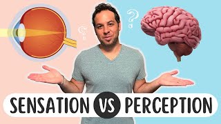 Sensation vs Perception Whats the Difference [upl. by Ydnolem]