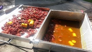 How To Boil Louisiana Crawfish in the King Kooker 9090 Boiler Setup [upl. by Onil]