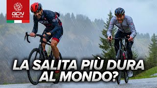 Zoncolan è la salita più dura del ciclismo moderno [upl. by Atiuqnahs472]