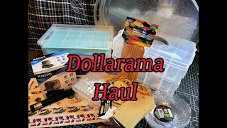 Dollarama Haul [upl. by Nongim]