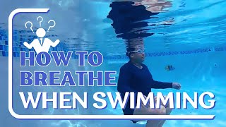 Understanding Your Breathing How To Breathe When Swimming [upl. by Hnirt364]